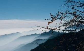 اليوم السادس: تشنغدو