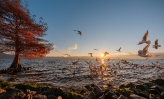 Day 1: Kunming Arrival