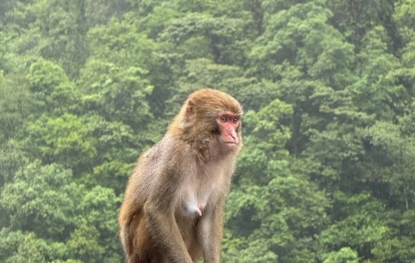 Day 4: Zhangjiajie-Xiamen