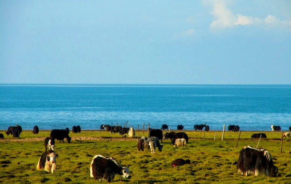 Day 2: Chaka Salt Lake