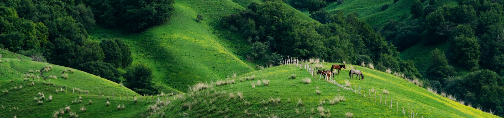 Tour Urumqi de 1 día