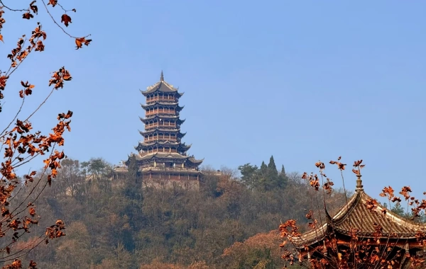 Day5 두장 얀 팬더 밸리 