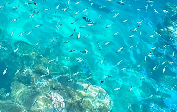 Day 1: Wuzhizhou Island-Houhai Village 