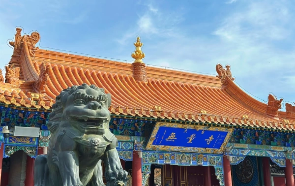 Day 8: Ulanqab--Hohhot