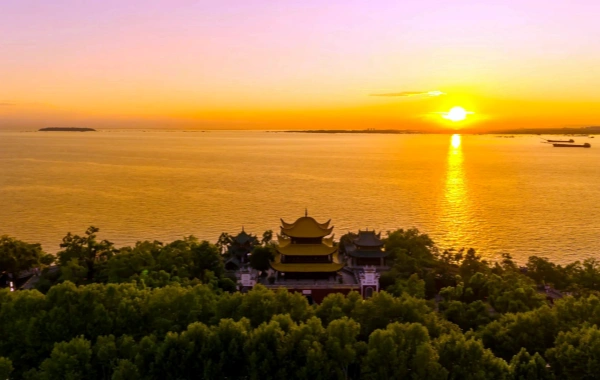 第6日目: 社長6クルーズ