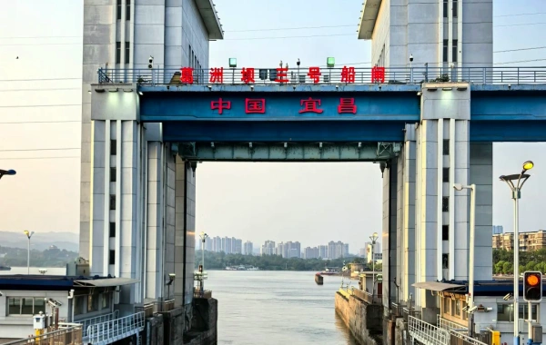 7日目: 社長6クルーズ