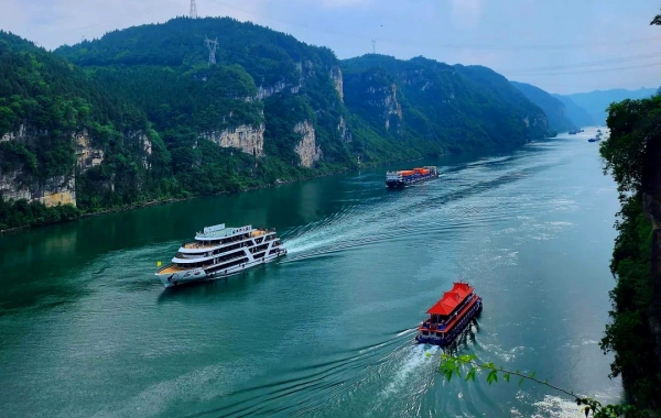 7日目: 社長6クルーズ