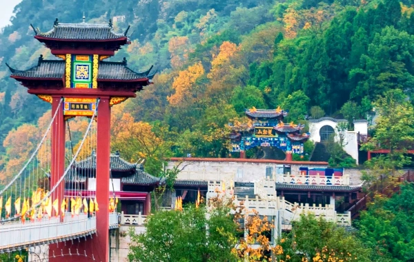 第9日目: 社長6クルーズ