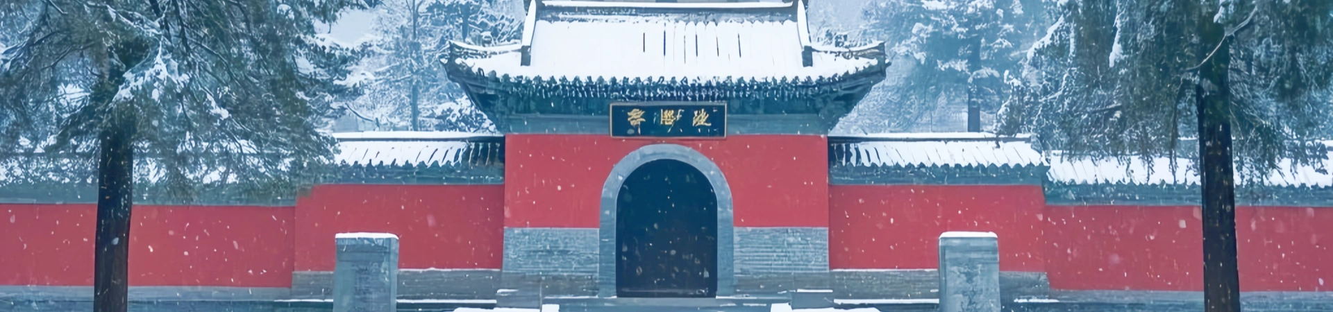 1日ロングメン・グリット&シャリン 寺院文化ツアー