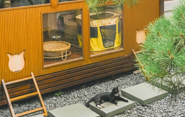 Day 2: Shanghai-Shangrao