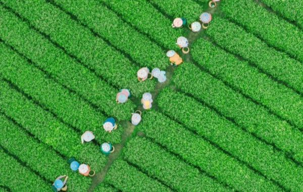 Day 5: Hangzhou Departure