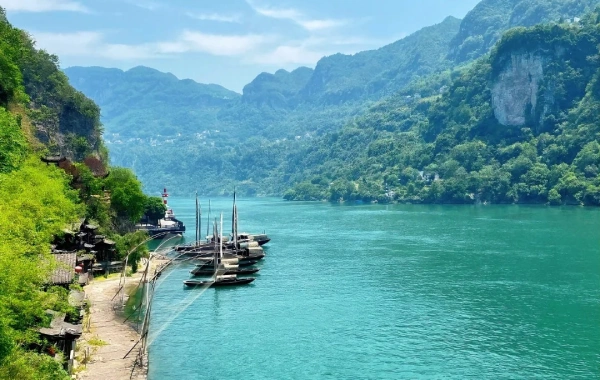 8日目: 社長6クルーズ