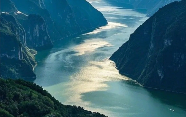 8日目: 社長6クルーズ