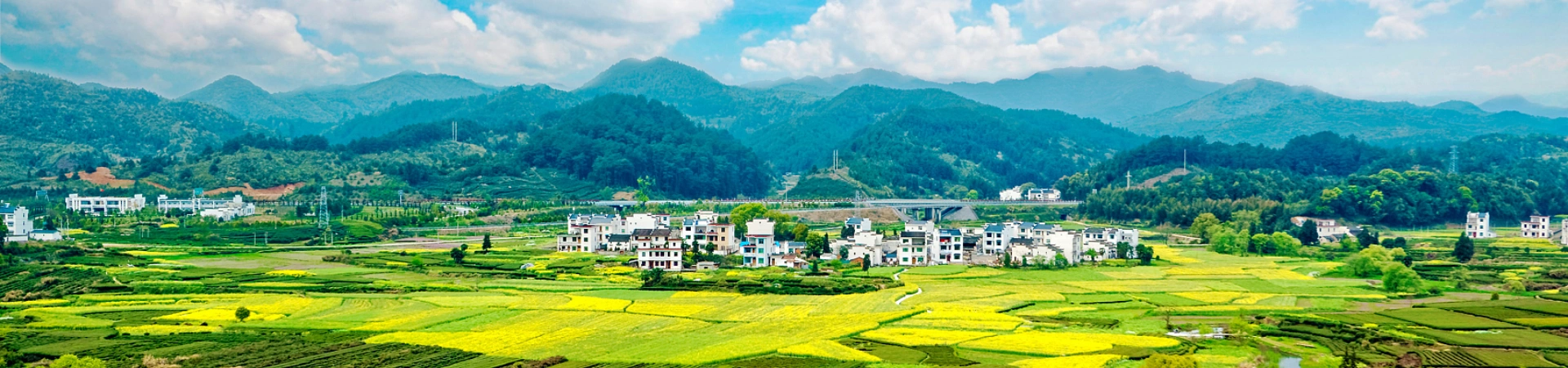 Huangshan Wuyuan Wangxiangu 4-Days Tour