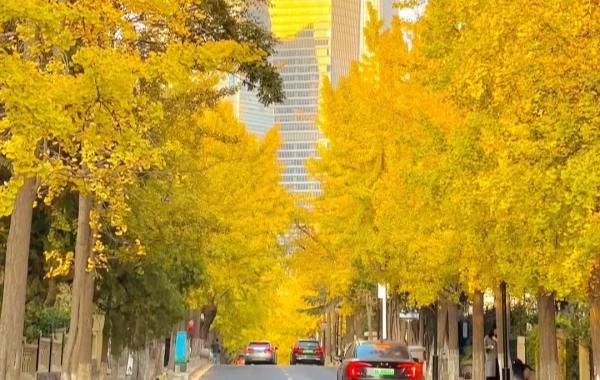 1日目:青島到着