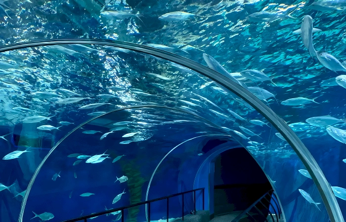 shanghai ocean park